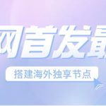 （6912期）全网首发最新海外节点搭建，独享梯子安全稳定运营海外短视频，日入1000+