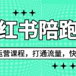 （6881期）2023小红书陪跑营流量运营课程，打通流量，快速起号（26节课）