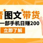 （6872期）最新抖音图文带货玩法，0基础一部手机日赚200