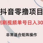 （6844期）抖音零撸项目，刷刷视频单号日入30+