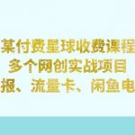 某付费星球课程：多个网创实战项目，撸货线报、流量卡、闲鱼电商等（文档非视频）