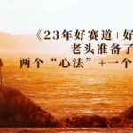 某收费文章《23年好赛道+好行业》老头准备了两个“心法”+一个“术法”
