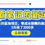 （6816期）学霸笔记新玩法，最近爆火的蓝海项目，0成本高利润副业，5天收了3000多