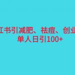 （6799期）小红书精准引流，减肥、祛痘、创业粉单人日引100+（附软件）