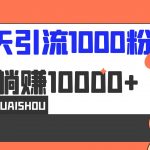 （6745期）5天引流1000+，赚了1w+