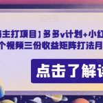 【蓝海主打项目】多多v计划+小红书商单，AI剪辑一个视频三份收益矩阵打法月入十万【揭秘】