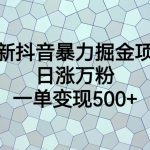 （6642期）最新抖音暴力掘金项目，日涨万粉，一单变现500+