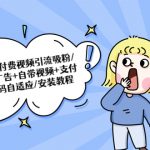 （5442期）视频打赏/付费视频引流吸粉/定时弹窗广告+自带视频+支付接口+源码自适应