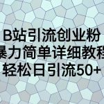 （6639期）B站引流创业粉，暴力简单详细教程，轻松日引流50+