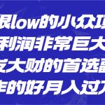 （6601期）一个很low的小众项目，但利润非常巨大，闷声发大财的首选副业，月入过万
