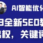 （6554期）2023最新网站AI智能优化SEO教程，简单快速出权重，AI自动写文章+AI绘画配图