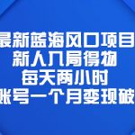 （6514期）最新蓝海风口项目，新人入局得物，每天两小时，单账号一个月变现破万