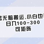 （6496期）百家号无脑搬运,小白也可操作，日入100-300，可矩阵