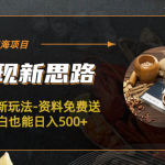 （6452期）冷门蓝海项目-中医新玩法-资料免费送小白也能日入500+