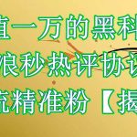 （6370期）价值一万的黑科技 新浪秒热评协议 引流精准粉【揭秘】