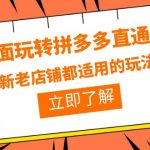 （6294期）全面玩转拼多多直通车，新老店铺都适用的玩法（12节精华课）