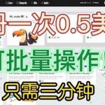 （6285期）国外项目注册一次0.5美金 只需三分钟无脑操作 可批量放大 小白工作室福利