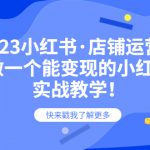 （6127期）2023小红书·店铺运营课，教你做一个能变现的小红书店铺，20节-实战教学