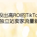 （6102期）如何投出高ROI·TikTok广告，开拓独立站卖家流量新蓝海