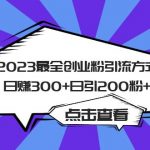 （6076期）2023最全创业粉引流方式日赚300+日引200粉+