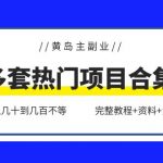 （6056期）黄岛主副业多套热门项目合集：日入几十到几百不等（完整教程+资料+素材）