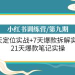 （6016期）小红书训练营/第九期：7天定位实战+7天爆款拆解实战，21天爆款笔记实操