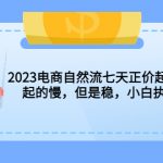 （5956期）2023电商自然流七天正价起号实战课：起的慢，但是稳，小白执行即可！