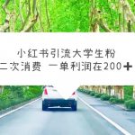 （5914期）小红书引流大学生粉，变现项目，一单利润在200+（教程+资源）