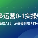 （5747期）拼多多-运营0-1实操训练营，拼多多0基础入门，从基础到进阶的可实操玩法