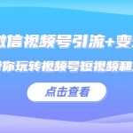 （5548期）2023微信视频号引流+变现训练营：手把手带你玩转视频号短视频和直播运营!