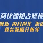 （5538期）淘系电商快速抢占短视频红利：流量解析 内容创作 渠道投放 爆款数据分析等