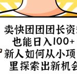 （5535期）卖快团团团长资料也能日入100+ 新人如何从小项目里探索出新机会