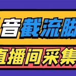 （5511期）引流必备-外面收费998最新抖音直播间截流 自动采集精准引流【脚本+教程】