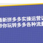 （5435期）23年最新拼多多实操运营训练营：手把手带你玩转多多各种流量打法！