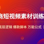 （5357期）电商短视频素材训练营：短视频素材底层逻辑 爆款脚本 万能公式  混剪素材等