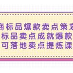 （5337期）电商标品爆款卖点策划课，标品卖点成就爆款，可落地卖点提炼课