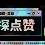 （5311期）最新探探全自动点赞引流，配合男粉变现思路轻松日赚500+【脚本+教程】