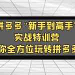 （5173期）拼多多“新手到高手”实战特训营：带你全方位玩转拼多多！