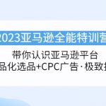 （5157期）2023亚马逊全能特训营：玩转亚马逊平台+精品化·选品+CPC广告·极致打法