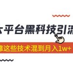 （5138期）价值4899的2023大平台黑科技引流技术 小白也能靠这些技术混到月入1w+29节课