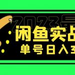 （5117期）花599买的闲鱼项目：2023最新闲鱼实战课，单号日入300+（7节课）