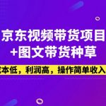 （5035期）京东视频带货项目+图文带货种草，成本低，利润高，操作简单收入稳定