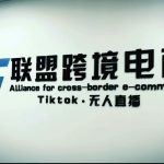 （5016期）Tiktok无人直播，不出镜不剪辑不拍摄不发货无售后的跨境短视频躺赚玩法