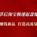 （4804期）2023春节后淘宝极速起盘爆流/爆单：测出赚钱新品  打造高流量爆款