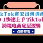 （4795期）TikTok商家出海训练营：0-1快速上手 TikTok跨境电商底层逻辑(无中创水印)