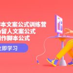 （4772期）短视频带货脚本文案公式训练营：18个开场留人文案公式，18个创作脚本公式