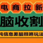 （4640期）【信息差项目】外面收费588的电商拉新收割机项目【全套教程】
