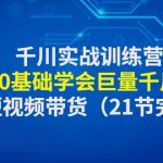 （4617期）千川实战训练营：带你0基础学会巨量千川投放，助力短视频带货（21节完整…