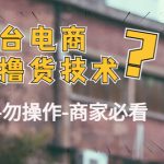 （4515期）外面收费2980的全平台电商白嫖撸货技术（仅揭秘-勿操作-商家必看）