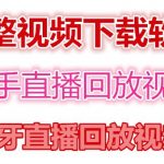 （4285期）快手直播回放视频/虎牙直播回放视频完整下载(电脑软件+视频教程)